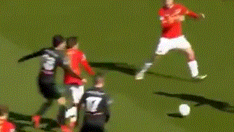 山东泰山选 山东泰山选