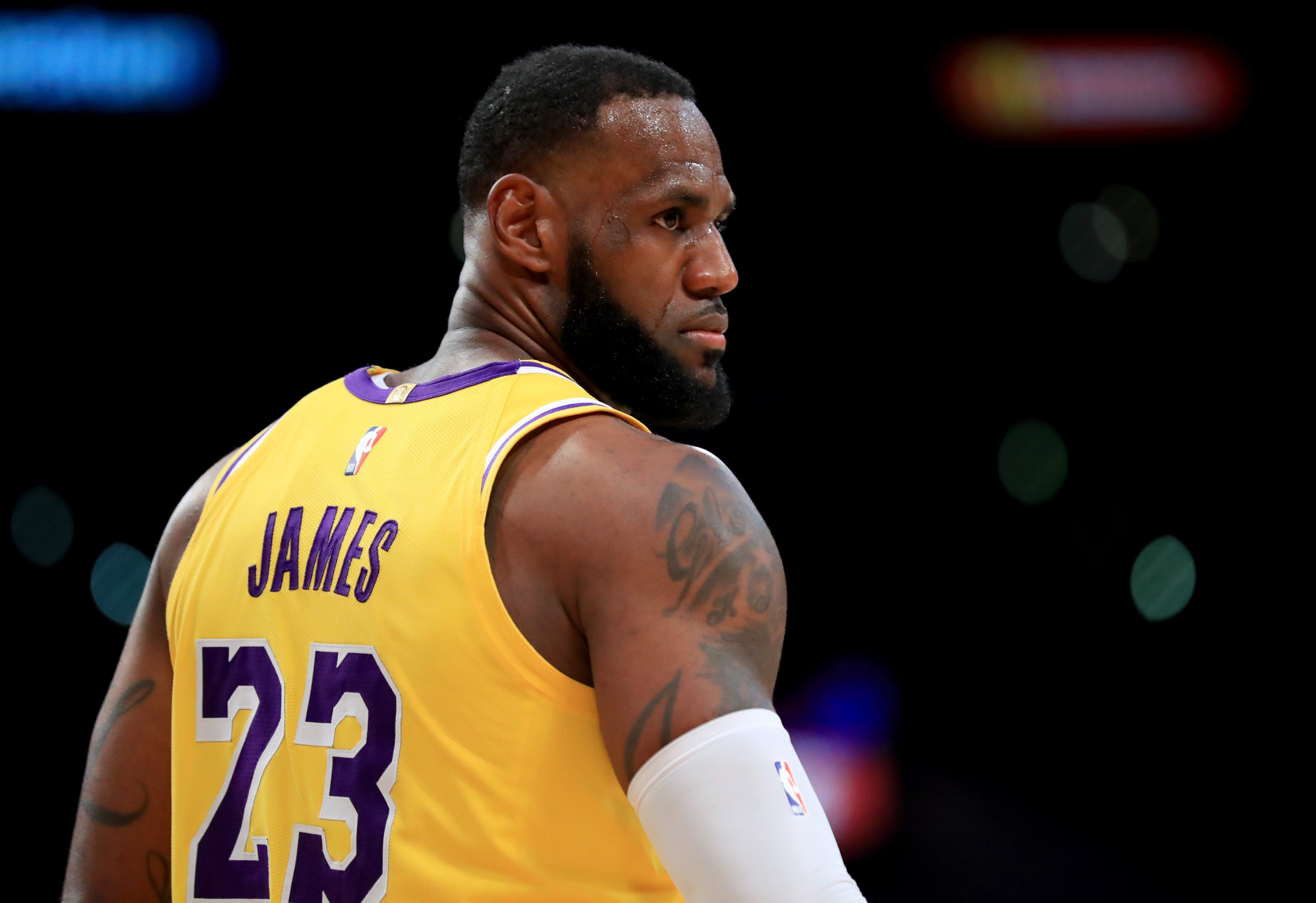 野猫的代表 野猫的代表